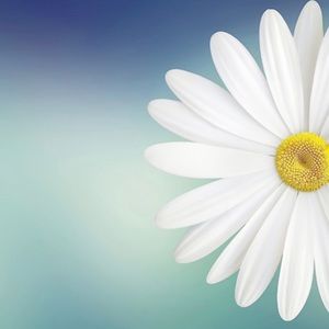 ALL OFFERS ARE WELCOME!!!